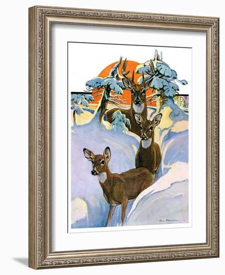 "Deer in Snow,"February 7, 1931-Paul Bransom-Framed Giclee Print