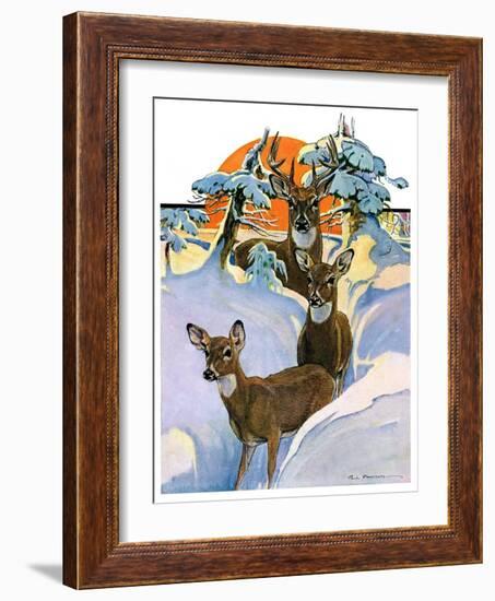 "Deer in Snow,"February 7, 1931-Paul Bransom-Framed Giclee Print