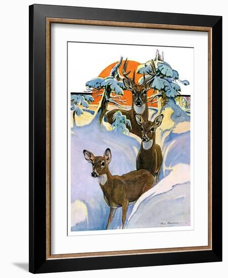 "Deer in Snow,"February 7, 1931-Paul Bransom-Framed Giclee Print