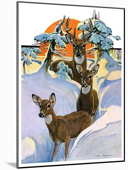 "Deer in Snow,"February 7, 1931-Paul Bransom-Mounted Giclee Print