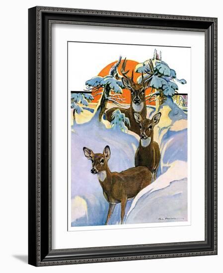 "Deer in Snow,"February 7, 1931-Paul Bransom-Framed Giclee Print