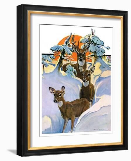 "Deer in Snow,"February 7, 1931-Paul Bransom-Framed Giclee Print