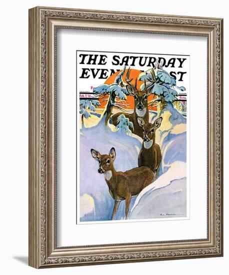 "Deer in Snow," Saturday Evening Post Cover, February 7, 1931-Paul Bransom-Framed Giclee Print