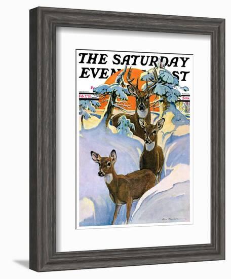 "Deer in Snow," Saturday Evening Post Cover, February 7, 1931-Paul Bransom-Framed Giclee Print