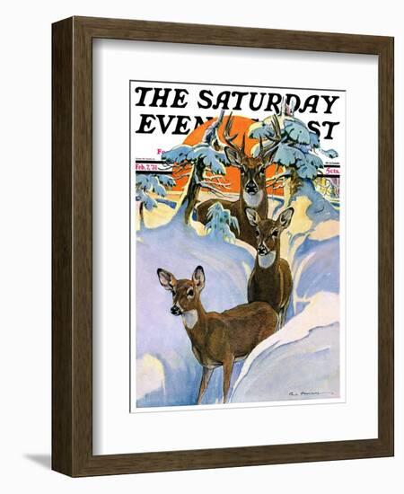 "Deer in Snow," Saturday Evening Post Cover, February 7, 1931-Paul Bransom-Framed Giclee Print