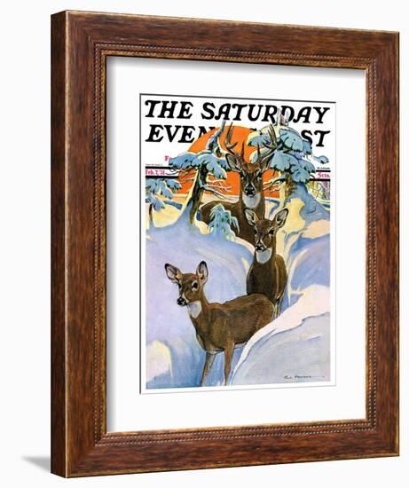 "Deer in Snow," Saturday Evening Post Cover, February 7, 1931-Paul Bransom-Framed Giclee Print