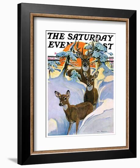 "Deer in Snow," Saturday Evening Post Cover, February 7, 1931-Paul Bransom-Framed Giclee Print