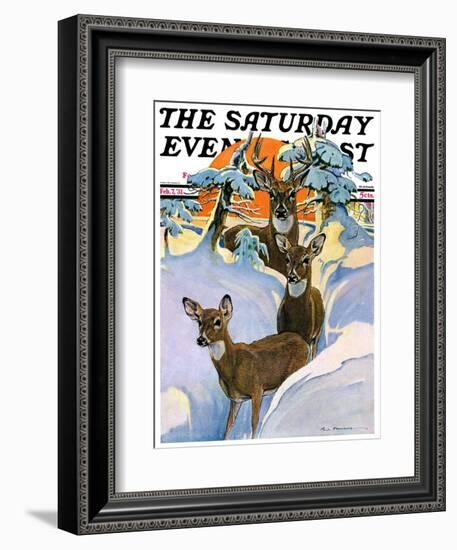 "Deer in Snow," Saturday Evening Post Cover, February 7, 1931-Paul Bransom-Framed Giclee Print