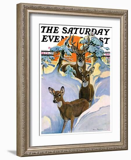 "Deer in Snow," Saturday Evening Post Cover, February 7, 1931-Paul Bransom-Framed Giclee Print