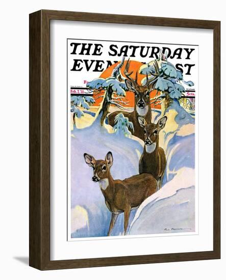 "Deer in Snow," Saturday Evening Post Cover, February 7, 1931-Paul Bransom-Framed Giclee Print