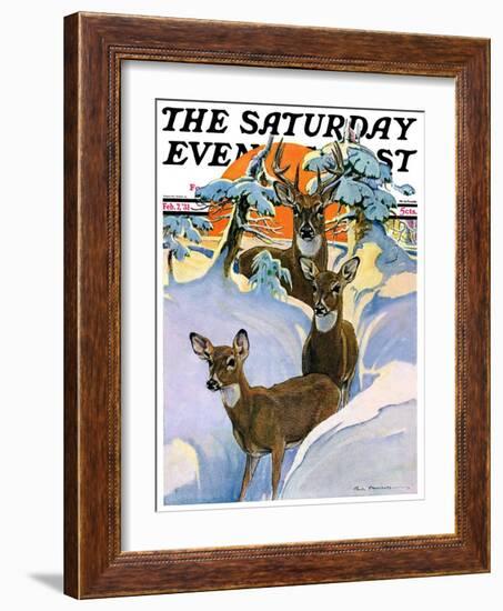 "Deer in Snow," Saturday Evening Post Cover, February 7, 1931-Paul Bransom-Framed Giclee Print