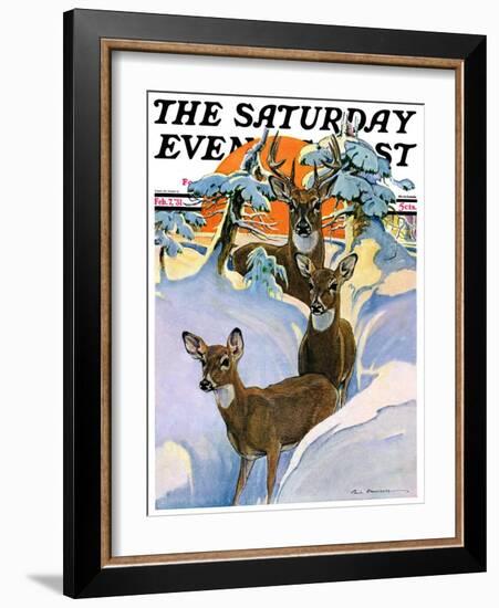 "Deer in Snow," Saturday Evening Post Cover, February 7, 1931-Paul Bransom-Framed Giclee Print