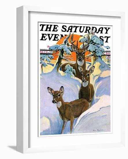 "Deer in Snow," Saturday Evening Post Cover, February 7, 1931-Paul Bransom-Framed Giclee Print