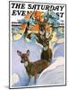 "Deer in Snow," Saturday Evening Post Cover, February 7, 1931-Paul Bransom-Mounted Giclee Print
