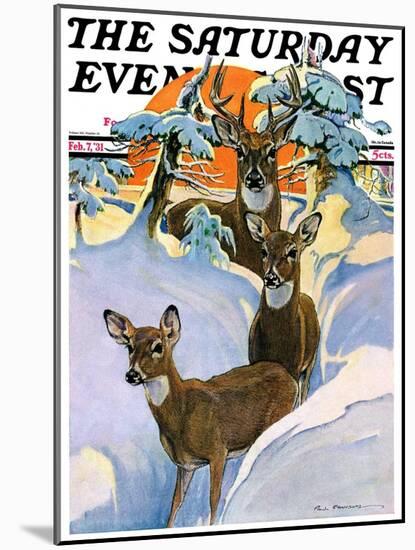 "Deer in Snow," Saturday Evening Post Cover, February 7, 1931-Paul Bransom-Mounted Giclee Print