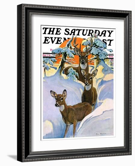 "Deer in Snow," Saturday Evening Post Cover, February 7, 1931-Paul Bransom-Framed Giclee Print