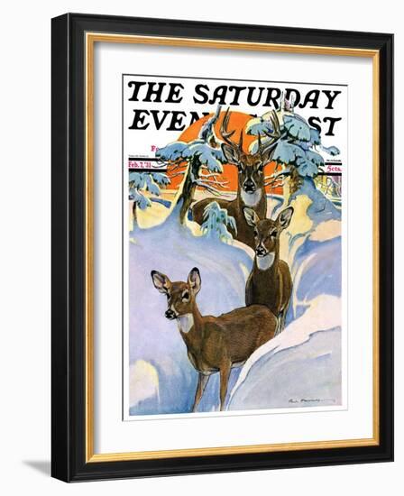 "Deer in Snow," Saturday Evening Post Cover, February 7, 1931-Paul Bransom-Framed Giclee Print