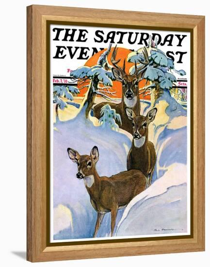 "Deer in Snow," Saturday Evening Post Cover, February 7, 1931-Paul Bransom-Framed Premier Image Canvas