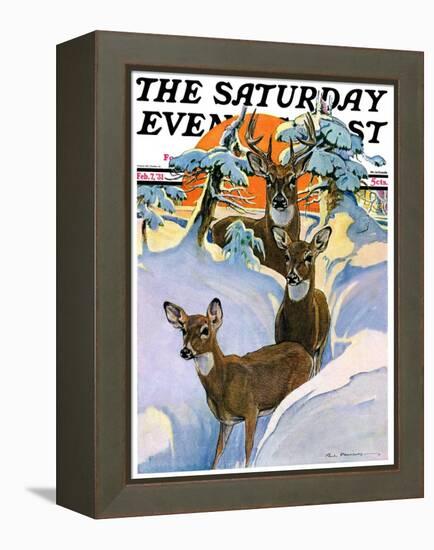 "Deer in Snow," Saturday Evening Post Cover, February 7, 1931-Paul Bransom-Framed Premier Image Canvas