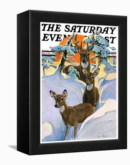 "Deer in Snow," Saturday Evening Post Cover, February 7, 1931-Paul Bransom-Framed Premier Image Canvas