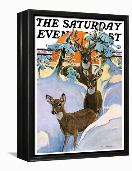 "Deer in Snow," Saturday Evening Post Cover, February 7, 1931-Paul Bransom-Framed Premier Image Canvas