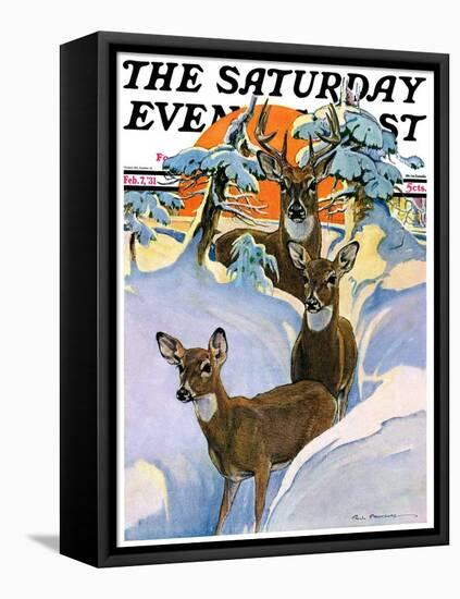 "Deer in Snow," Saturday Evening Post Cover, February 7, 1931-Paul Bransom-Framed Premier Image Canvas