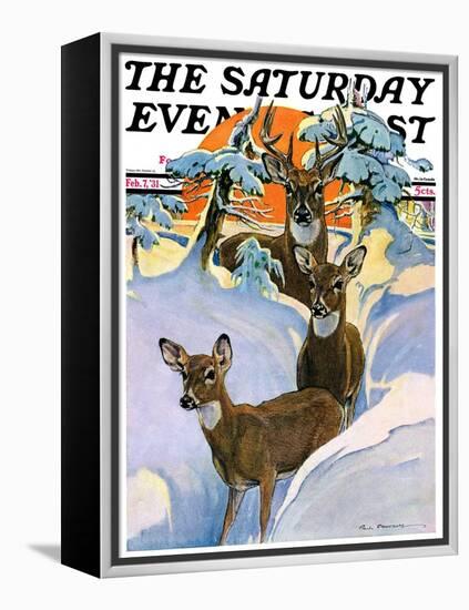 "Deer in Snow," Saturday Evening Post Cover, February 7, 1931-Paul Bransom-Framed Premier Image Canvas