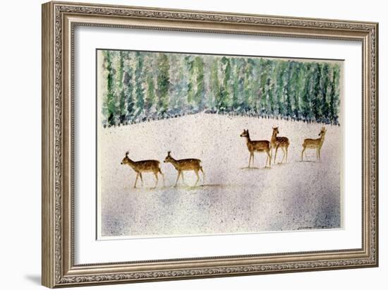 Deer in Snow-Suzi Kennett-Framed Giclee Print