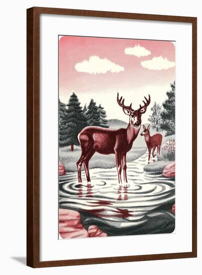 Deer in Stream-null-Framed Art Print