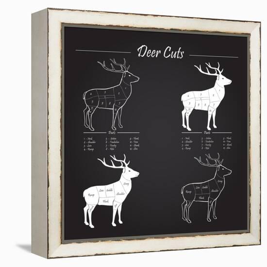 Deer Meat Cut Scheme-ONiONAstudio-Framed Stretched Canvas