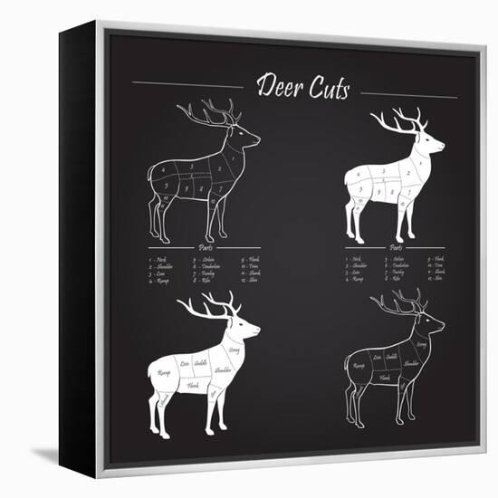 Deer Meat Cut Scheme-ONiONAstudio-Framed Stretched Canvas