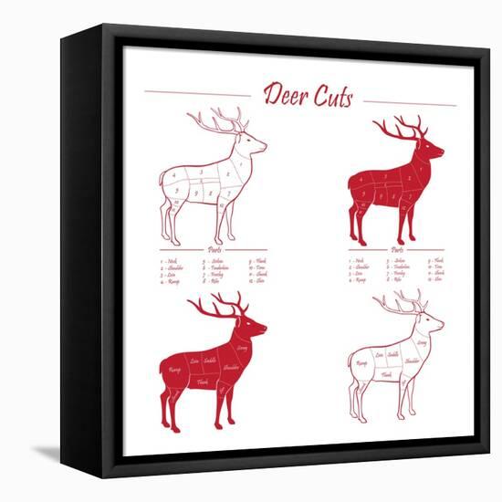 Deer Meat Cut Scheme-ONiONAstudio-Framed Stretched Canvas