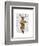 Deer Minstrel-Fab Funky-Framed Art Print