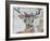 Deer Mist-Zwart-Framed Giclee Print