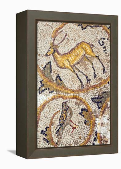 Deer mosaic, New House Of Hunt, Bulla Regia Archaeological Site, Tunisia-Nico Tondini-Framed Premier Image Canvas