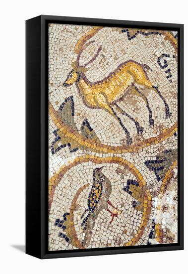 Deer mosaic, New House Of Hunt, Bulla Regia Archaeological Site, Tunisia-Nico Tondini-Framed Premier Image Canvas