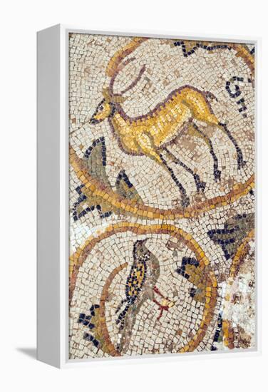 Deer mosaic, New House Of Hunt, Bulla Regia Archaeological Site, Tunisia-Nico Tondini-Framed Premier Image Canvas