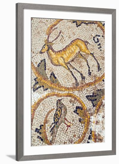 Deer mosaic, New House Of Hunt, Bulla Regia Archaeological Site, Tunisia-Nico Tondini-Framed Premium Photographic Print