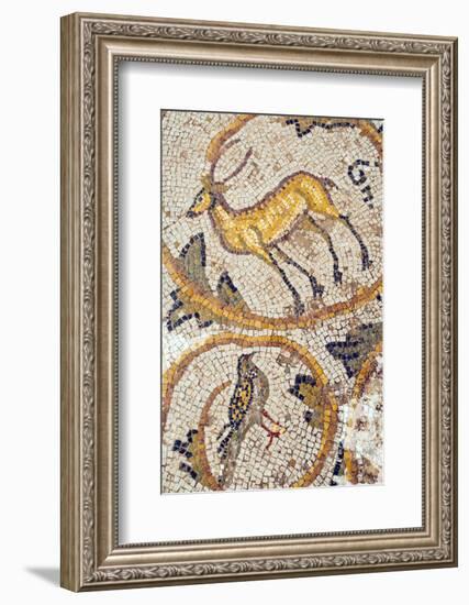 Deer mosaic, New House Of Hunt, Bulla Regia Archaeological Site, Tunisia-Nico Tondini-Framed Photographic Print