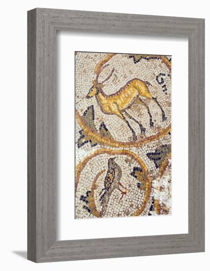 Deer mosaic, New House Of Hunt, Bulla Regia Archaeological Site, Tunisia-Nico Tondini-Framed Photographic Print