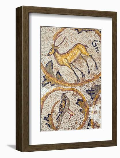 Deer mosaic, New House Of Hunt, Bulla Regia Archaeological Site, Tunisia-Nico Tondini-Framed Photographic Print