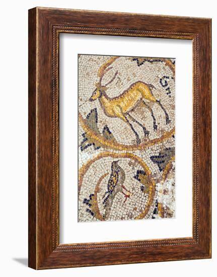 Deer mosaic, New House Of Hunt, Bulla Regia Archaeological Site, Tunisia-Nico Tondini-Framed Photographic Print