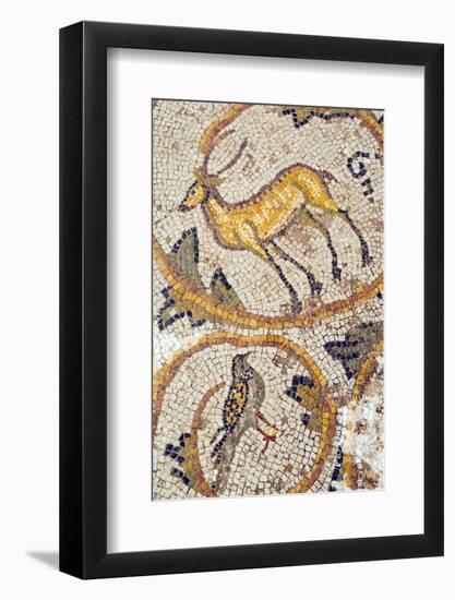 Deer mosaic, New House Of Hunt, Bulla Regia Archaeological Site, Tunisia-Nico Tondini-Framed Photographic Print