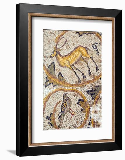 Deer mosaic, New House Of Hunt, Bulla Regia Archaeological Site, Tunisia-Nico Tondini-Framed Photographic Print