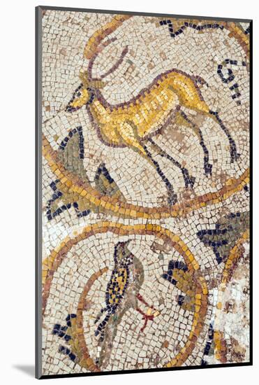 Deer mosaic, New House Of Hunt, Bulla Regia Archaeological Site, Tunisia-Nico Tondini-Mounted Photographic Print