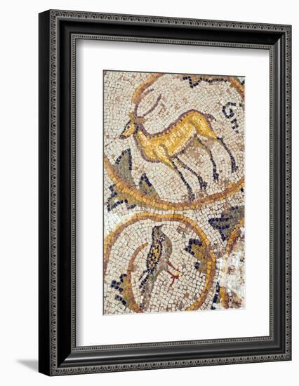 Deer mosaic, New House Of Hunt, Bulla Regia Archaeological Site, Tunisia-Nico Tondini-Framed Photographic Print