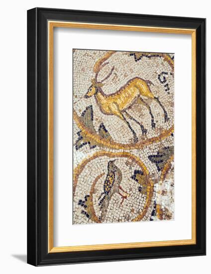 Deer mosaic, New House Of Hunt, Bulla Regia Archaeological Site, Tunisia-Nico Tondini-Framed Photographic Print