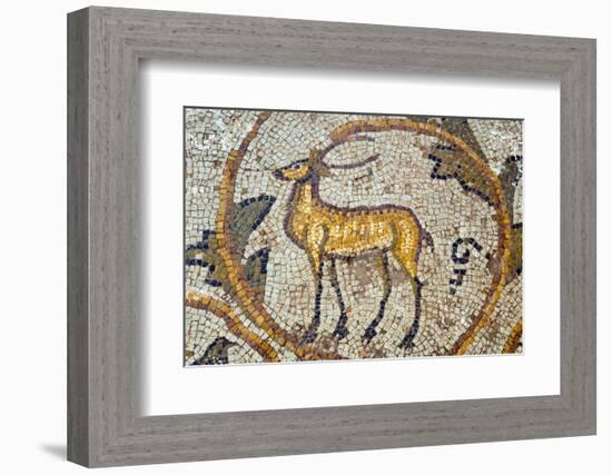 Deer mosaic, New House Of Hunt, Bulla Regia Archaeological Site, Tunisia-Nico Tondini-Framed Photographic Print