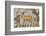 Deer mosaic, New House Of Hunt, Bulla Regia Archaeological Site, Tunisia-Nico Tondini-Framed Photographic Print