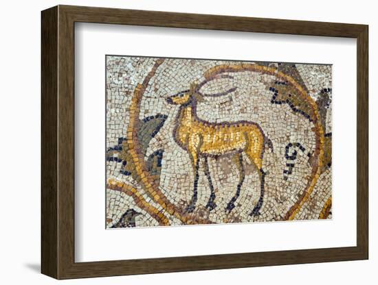 Deer mosaic, New House Of Hunt, Bulla Regia Archaeological Site, Tunisia-Nico Tondini-Framed Photographic Print